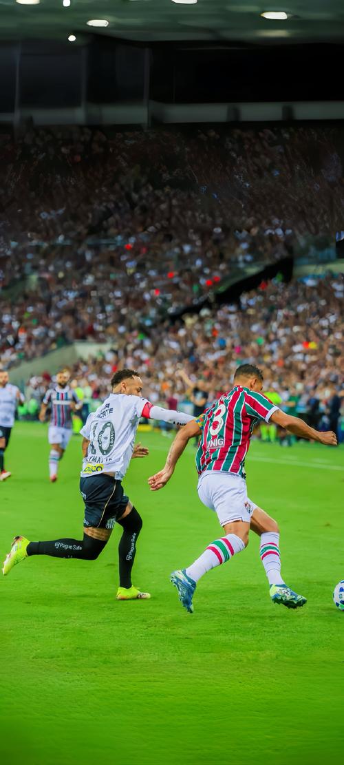 副韧带